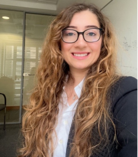 Asst. Prof. Ayşegül Özkan İnce